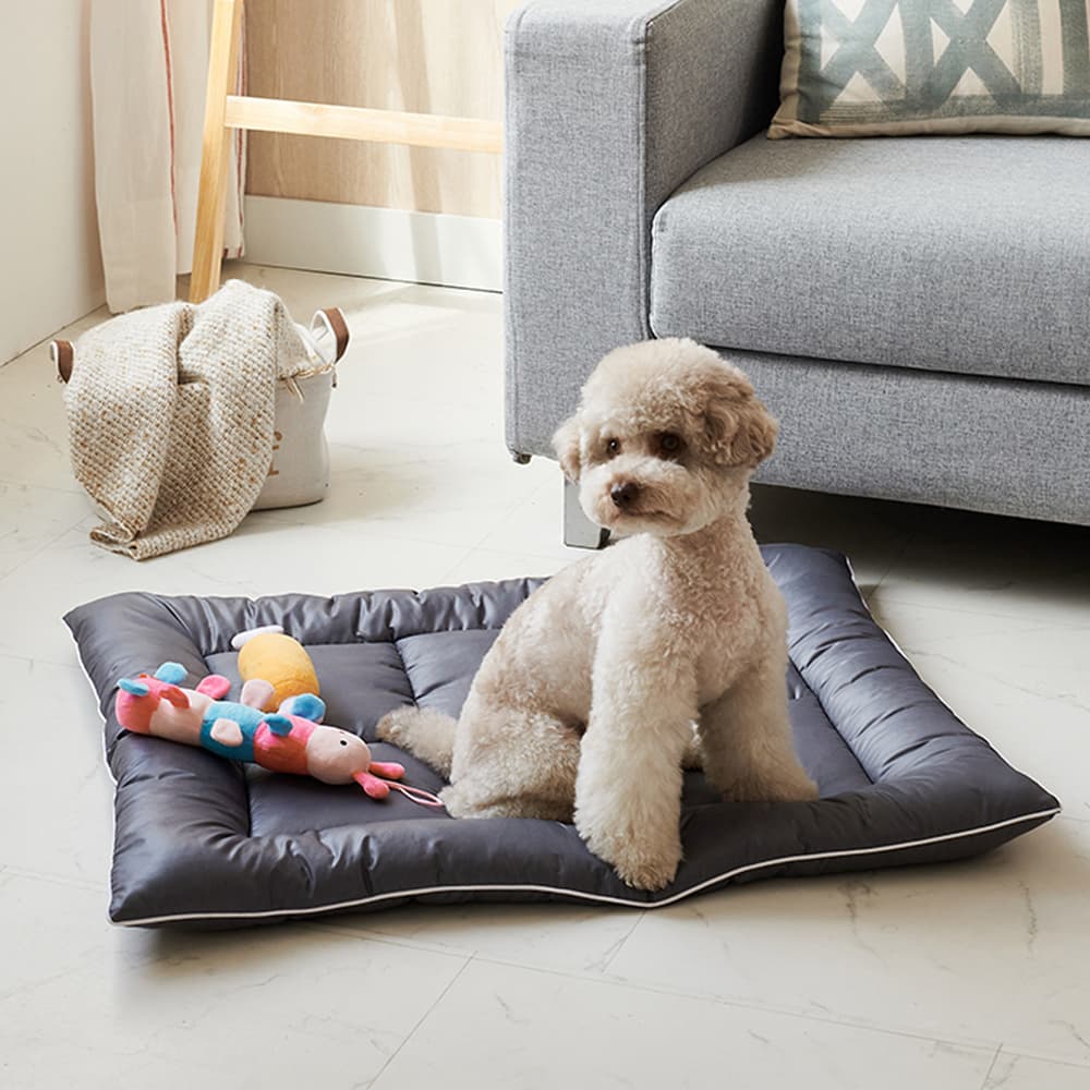 코멧 털이 잘 털리는 펫방석