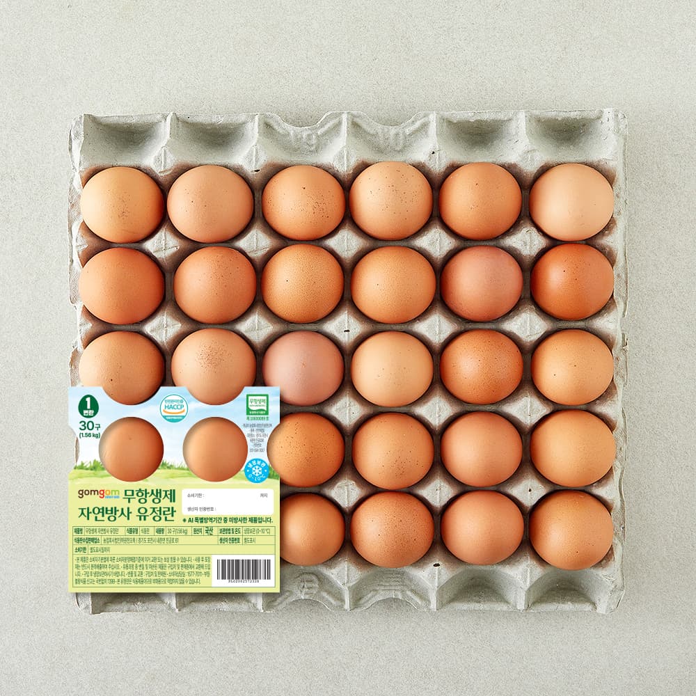 곰곰 무항생제 자연방사 유정란