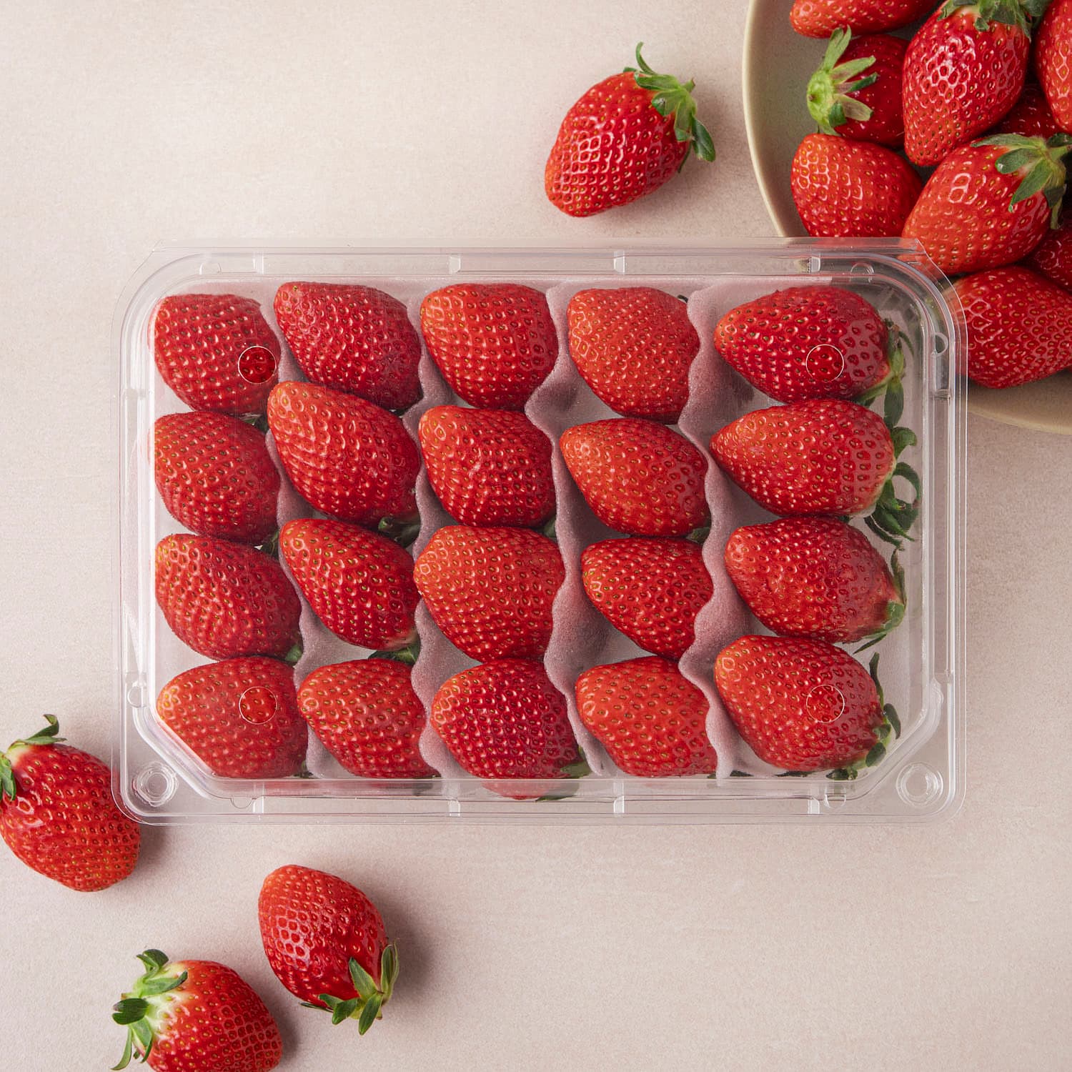 설향 딸기 대과