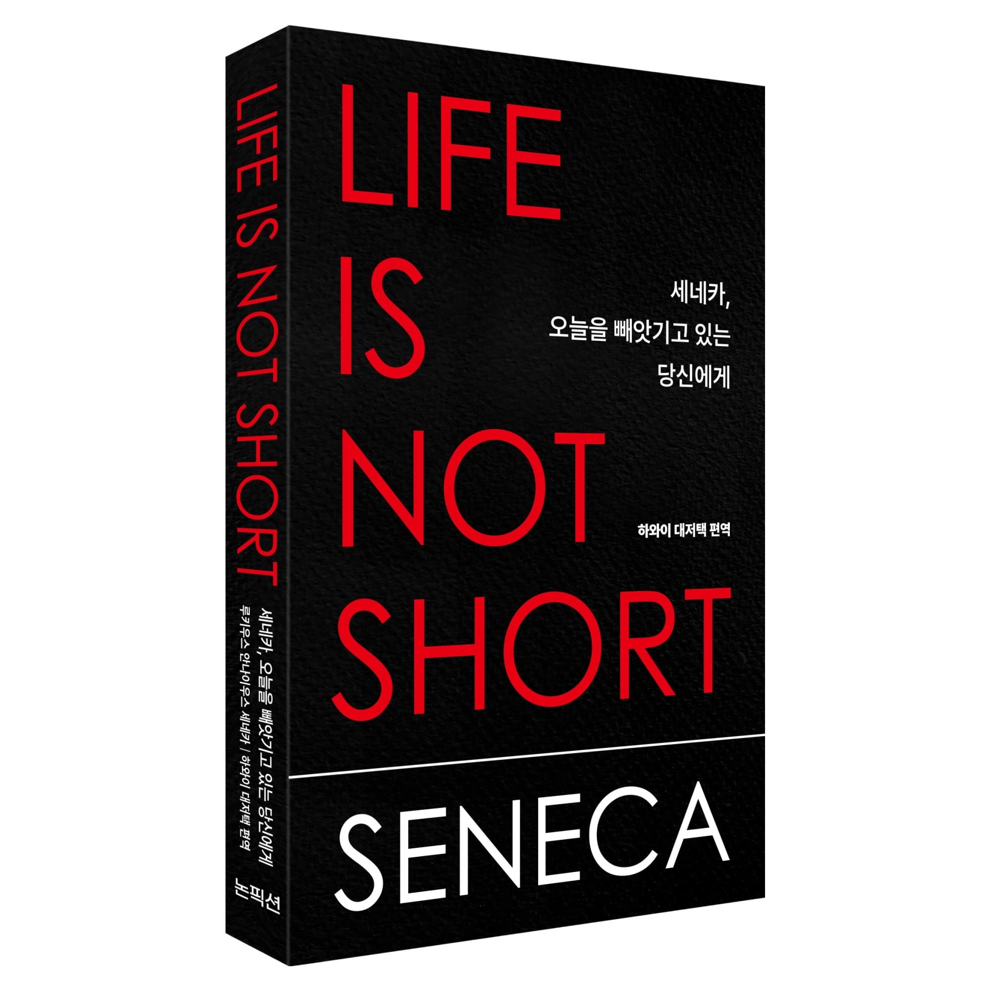 세네카, 오늘을 빼앗기고 있는 당신에게 이미지 1